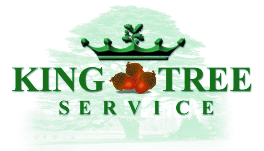 King Tree Service
